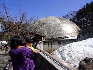 草津温泉熱帯圏です。